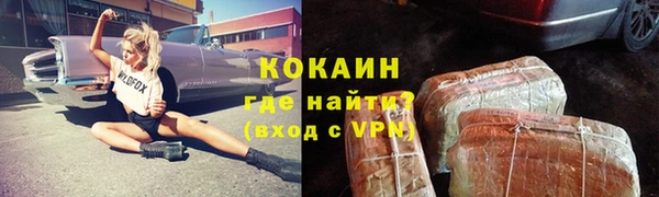 стаф Алзамай