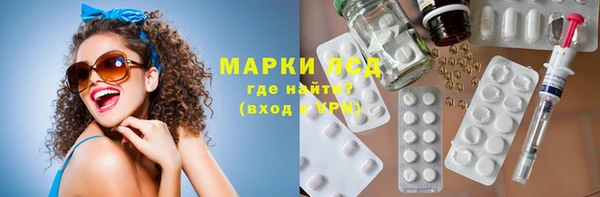 стаф Алзамай