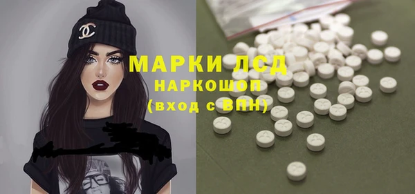 стаф Алзамай