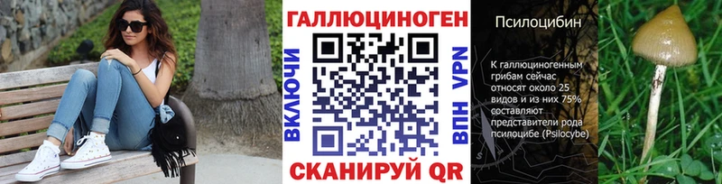 Купить где  Велиж  Псилоцибиновые грибы Cubensis 